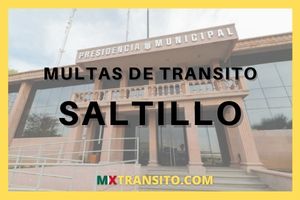 SERVICIOS DE CONSULTAS DE MULTAS DE TRÁNSITO EN SALTILLO